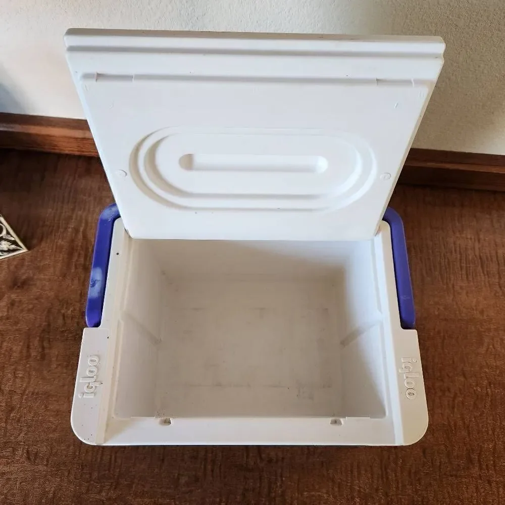 Igloo polar 6 holds six cans vintage '90s teal purple personal ice chest cooler